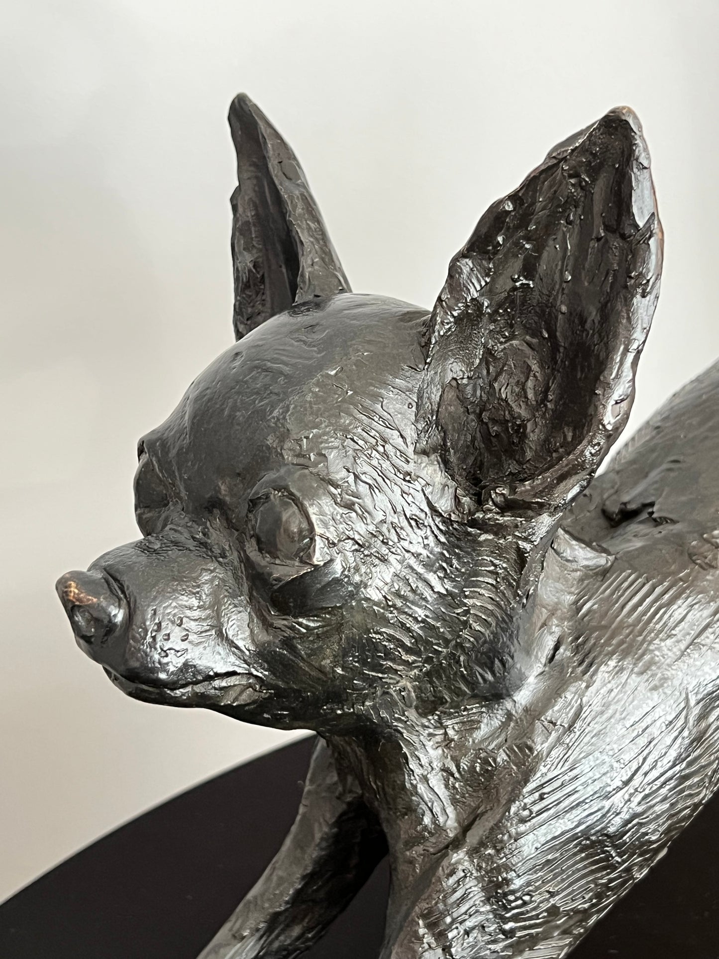  "Escultura chihuahua en bronce - Vista lateral mostrando detalles anatómicos"