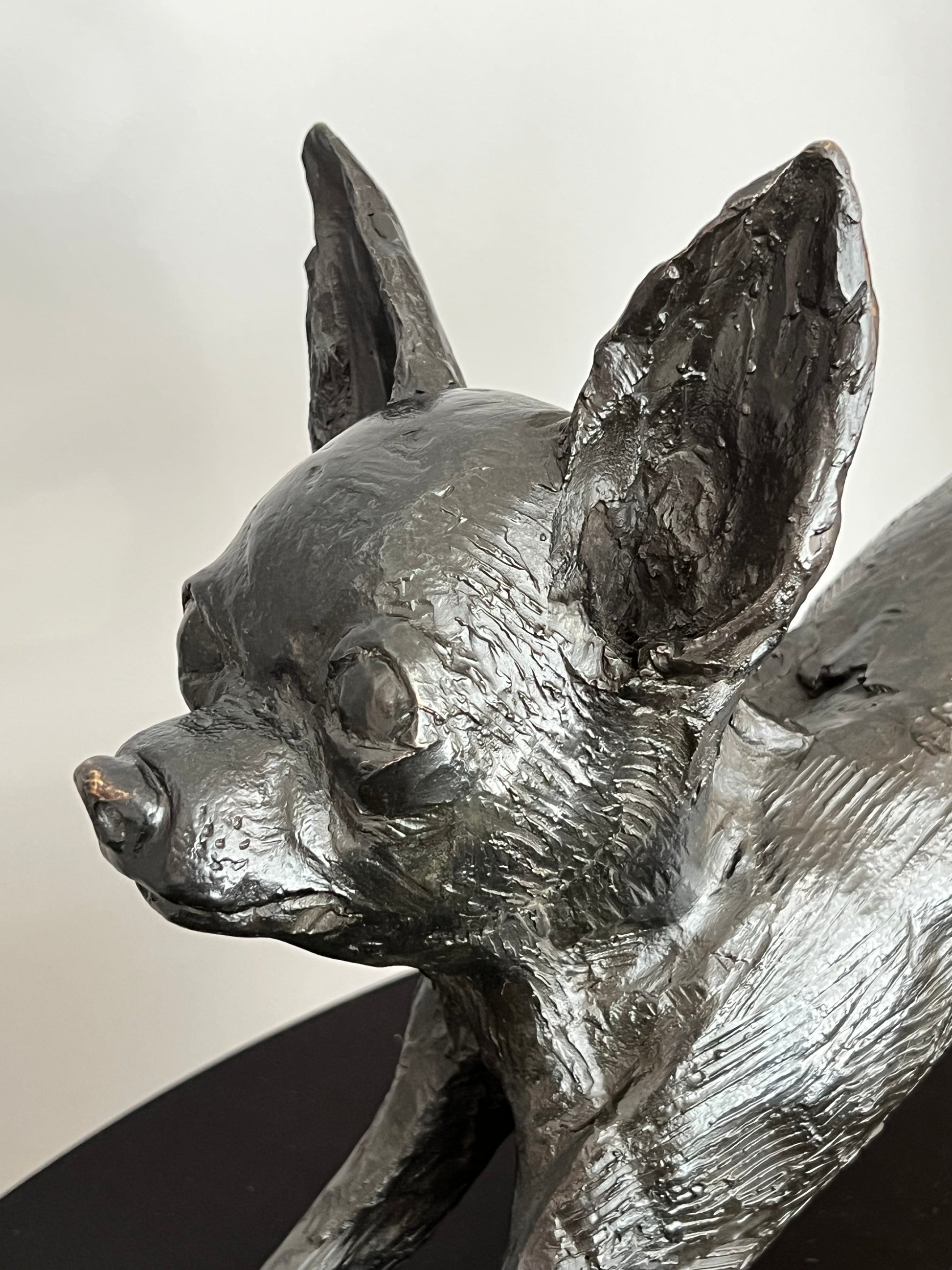  "Escultura chihuahua en bronce - Vista lateral mostrando detalles anatómicos"