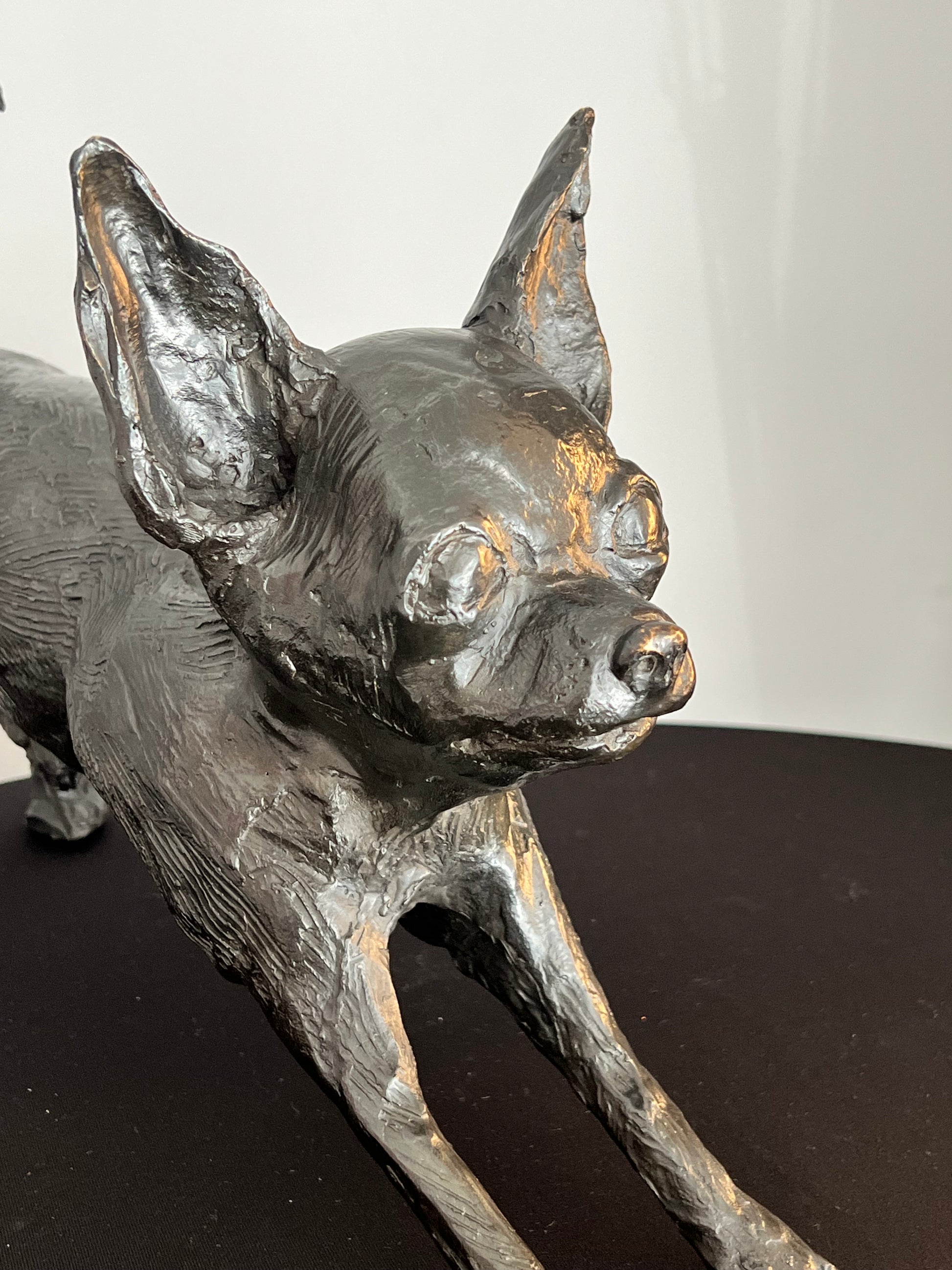 "Escultura perro chihuahua - Vista posterior destacando técnica de fundición"