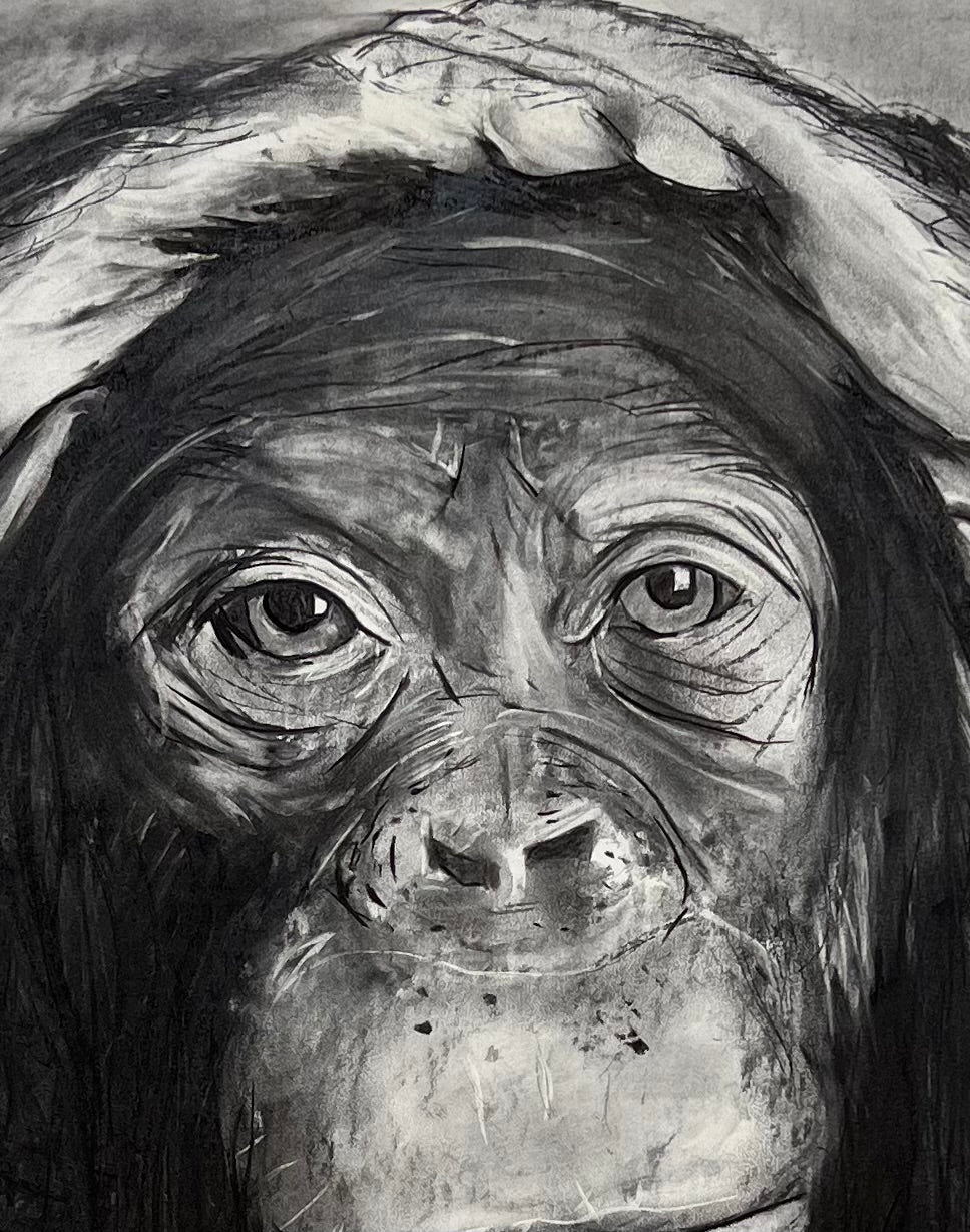 Chimpancé retrato - Detalle obra arte contemporáneo - Expresión animal - Osvaldo Parise
