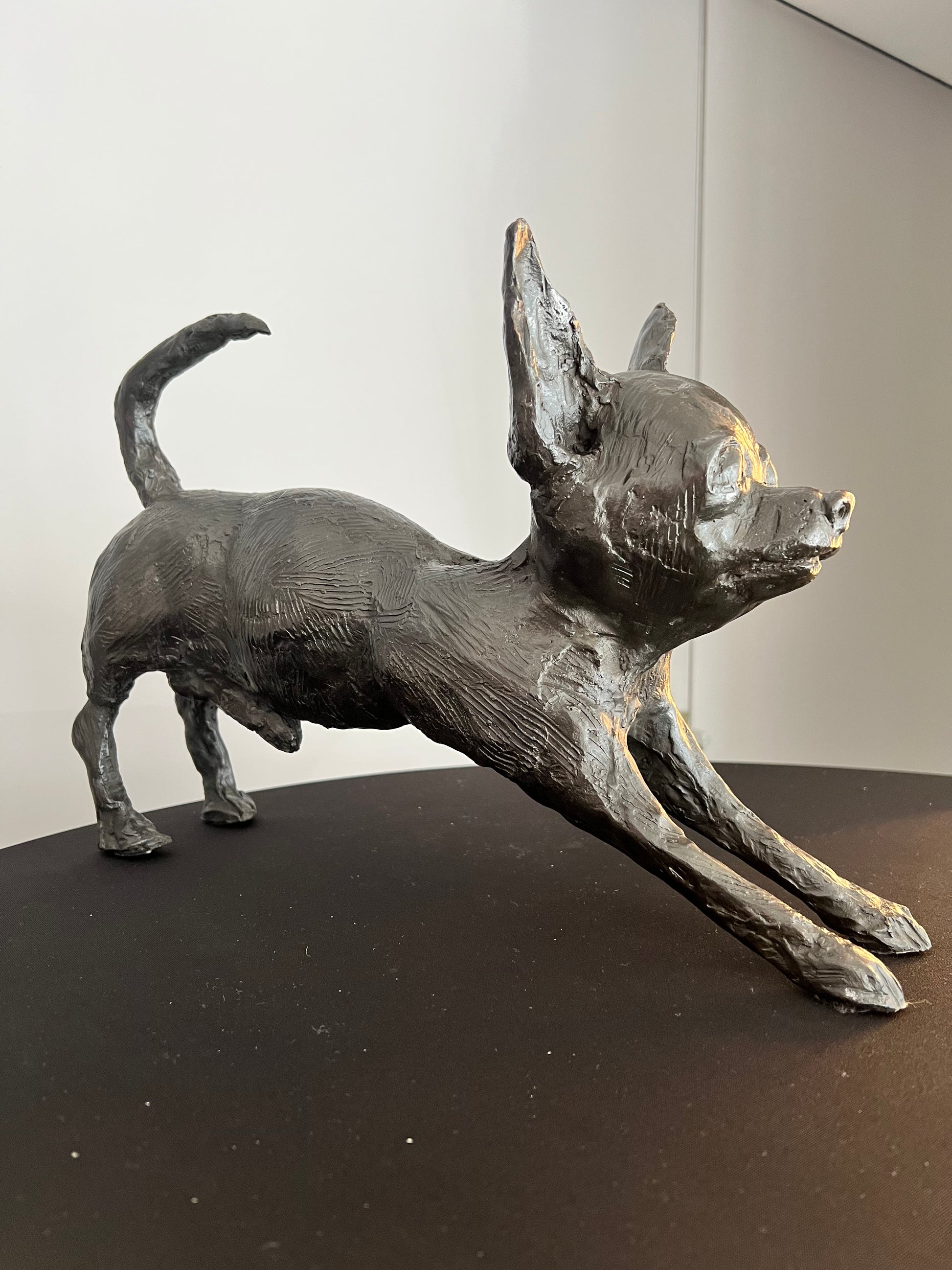 "Escultura chihuahua - Vista de tres cuartos mostrando proporciones de la raza"