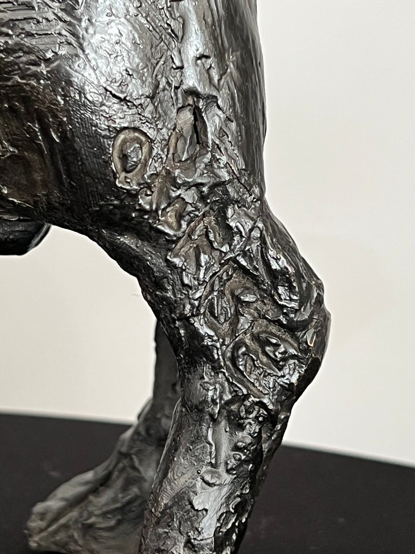 "Chihuahua en bronce - Detalle de textura y patina del metal"