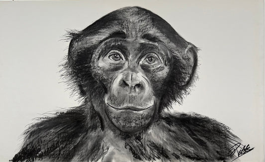 Chimpancé hembra serie 2 - Carboncillo sobre madera - Vista frontal completa
