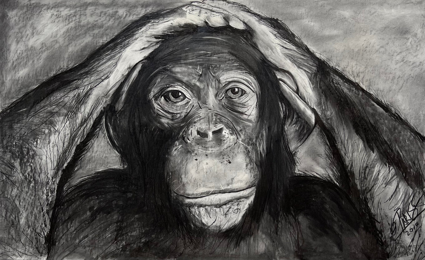 Chimpancé - Retrato original técnica mixta - Arte contemporáneo fauna - Osvaldo Parise
