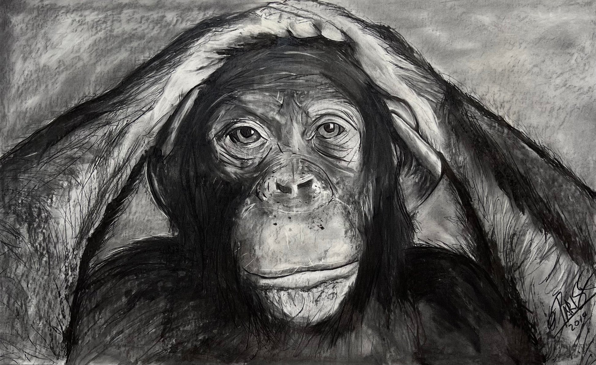 Chimpancé - Retrato original técnica mixta - Arte contemporáneo fauna - Osvaldo Parise
