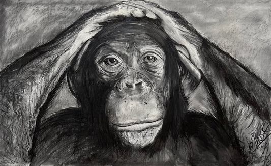 Chimpancé - Retrato original técnica mixta - Arte contemporáneo fauna - Osvaldo Parise
