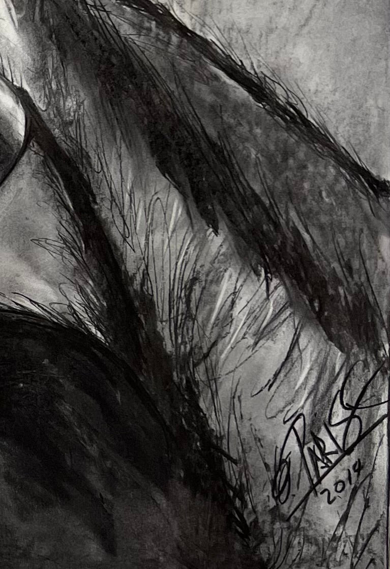 Chimpancé - Vista completa retrato original - Arte contemporáneo - Osvaldo Parise
