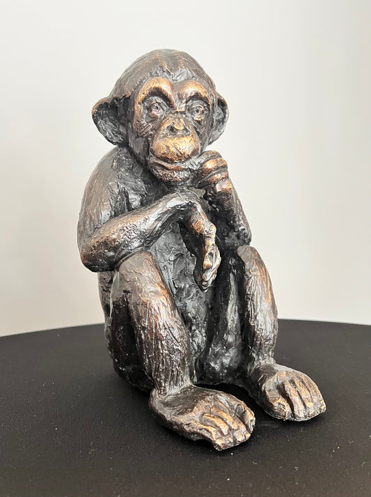 Chimpancé - Escultura en bronce - Vista frontal completa de la obra - Osvaldo Parise
