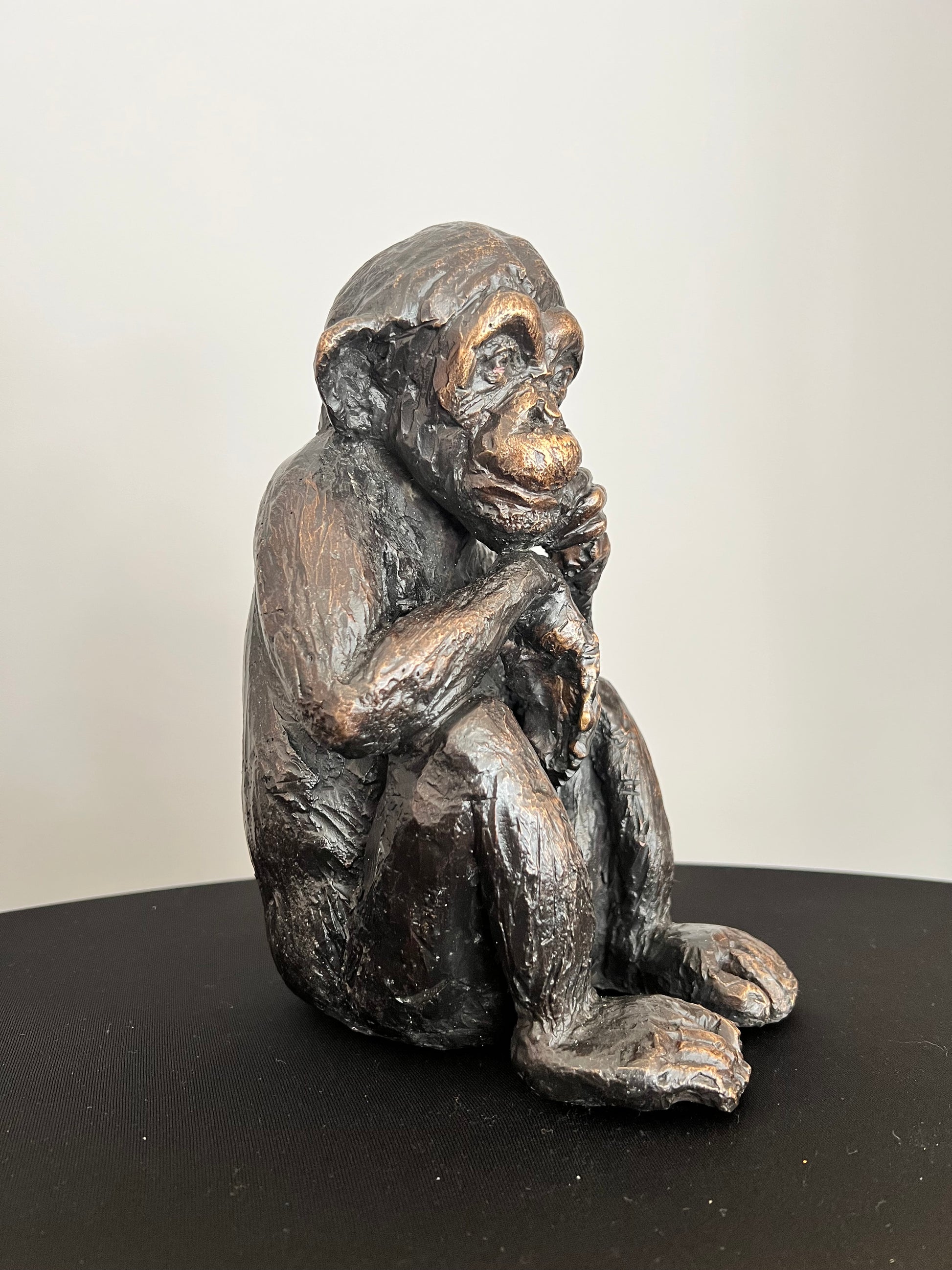 Chimpancé bronce - Vista posterior destacando técnica de fundición a la cera perdida - Osvaldo Parise
