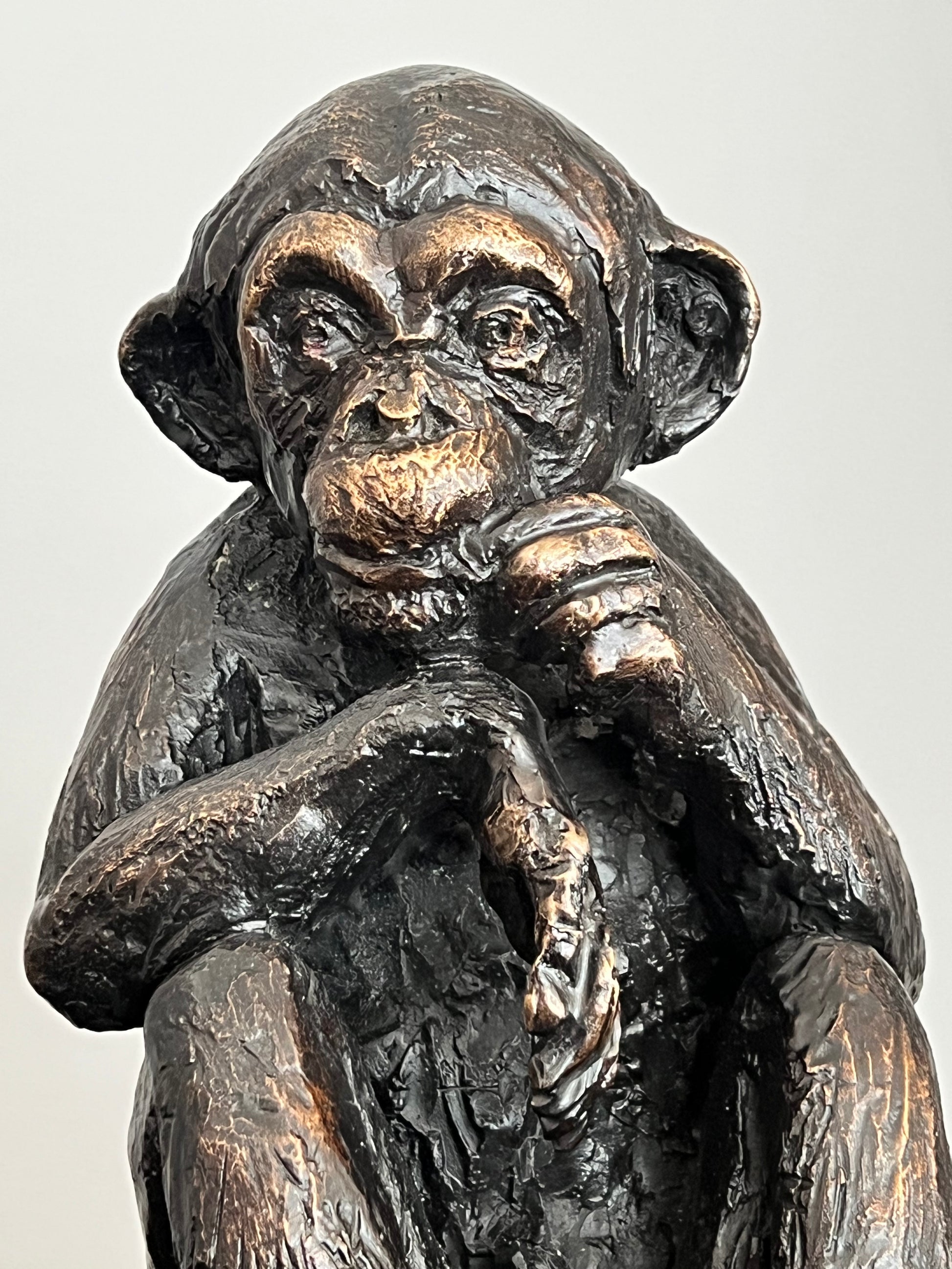 Escultura chimpancé bronce - Detalle lateral mostrando textura y patina del metal - Osvaldo Parise
